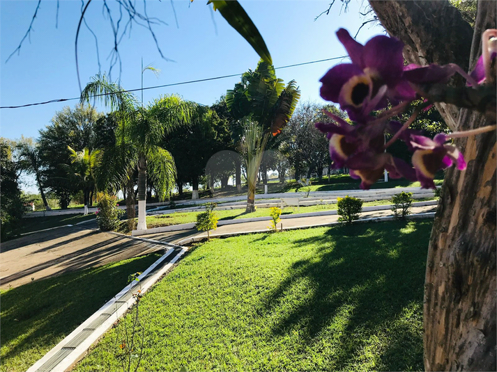 Foto REO1131328