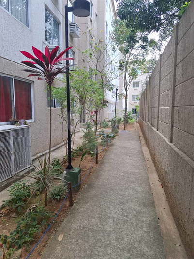 Foto REO1131329