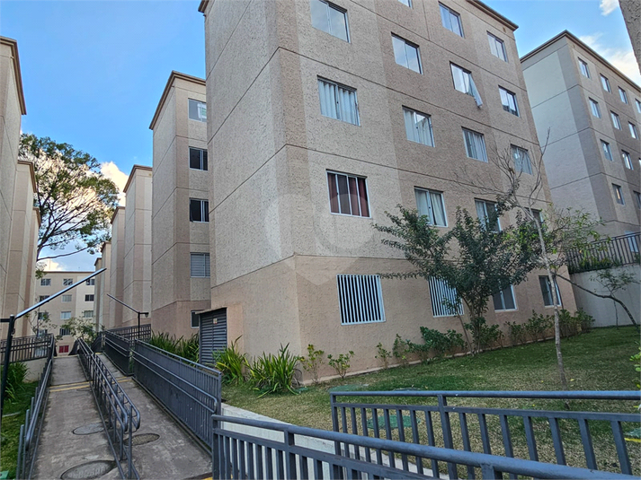 Foto REO1131333