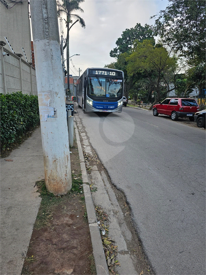 Foto REO1131333