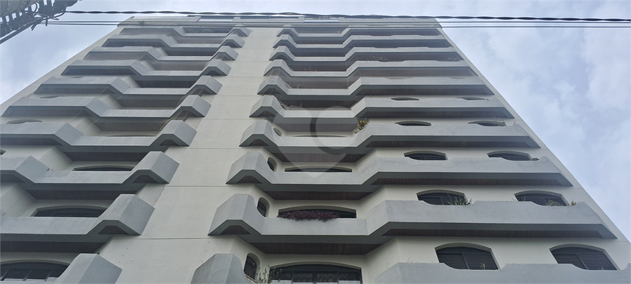 Foto REO1131343