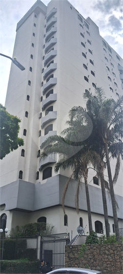 Foto REO1131343