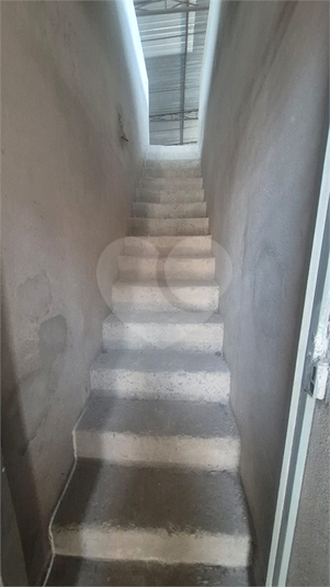 Foto REO1131350