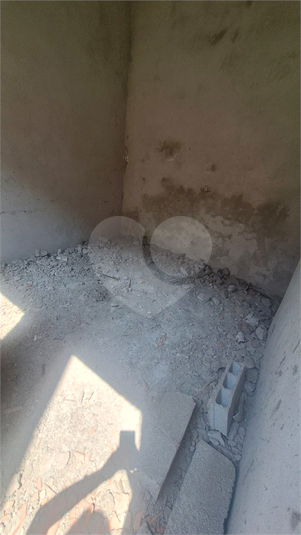 Foto REO1131350