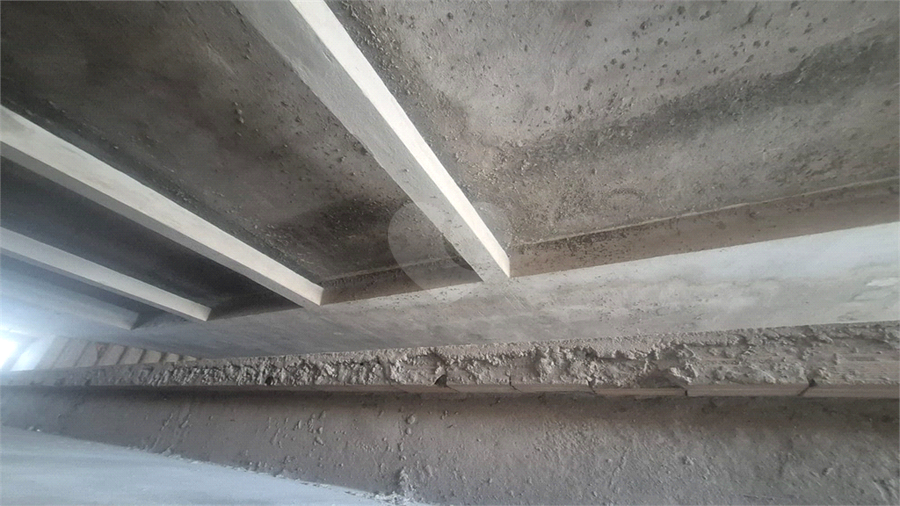 Foto REO1131350
