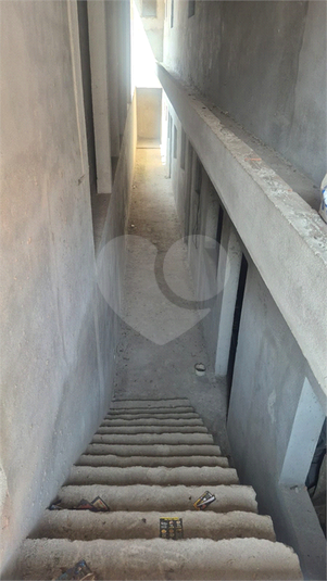 Foto REO1131350
