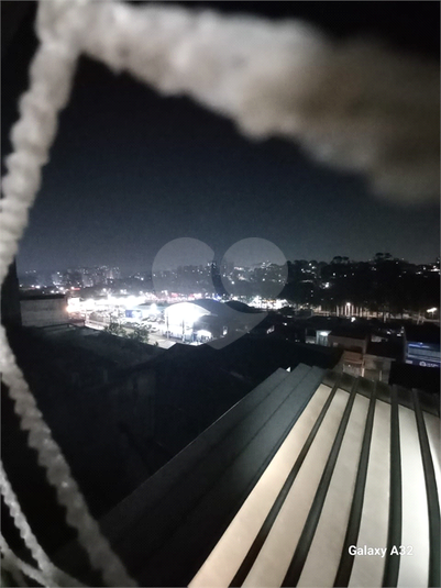 Foto REO1131354