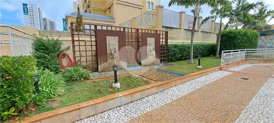 Foto REO1131359