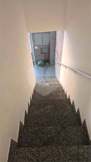 Foto REO1131361