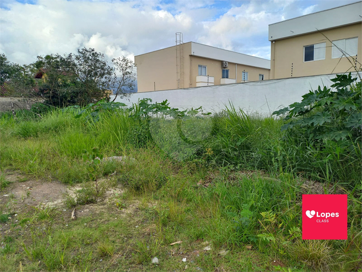 Foto REO1131366