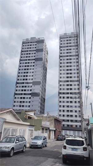 Foto REO1131373