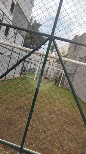 Foto REO1131373