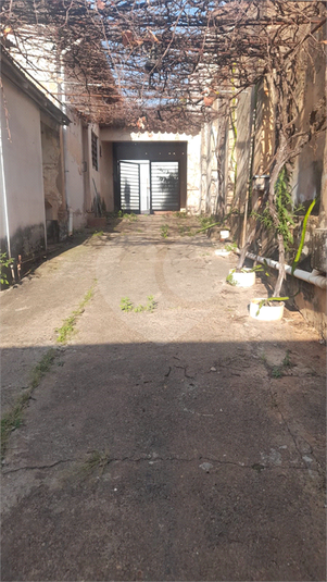 Foto REO1131390
