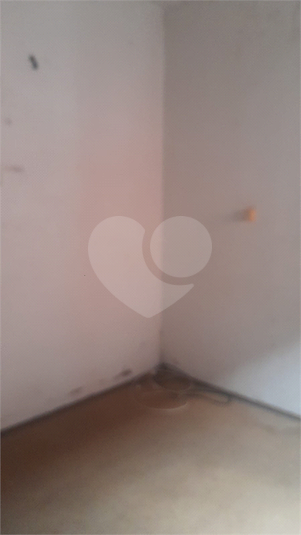 Foto REO1131390