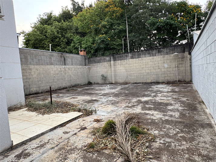 Foto REO1131392