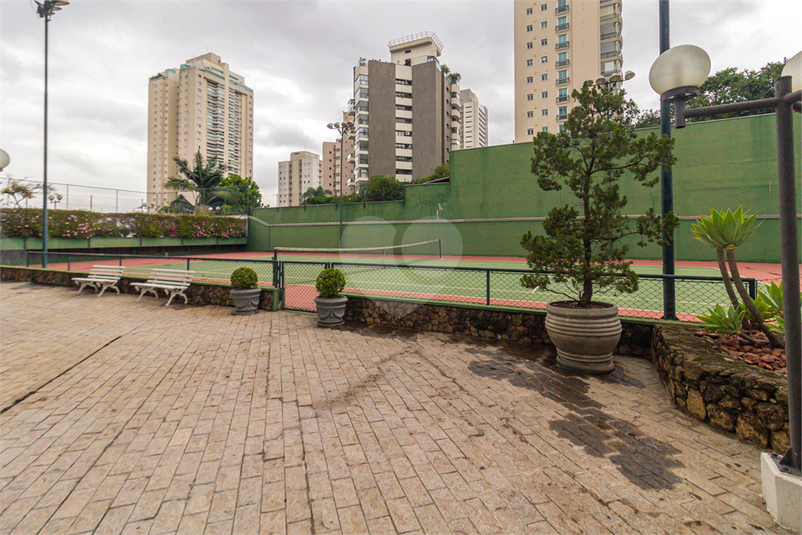 Foto REO1131396