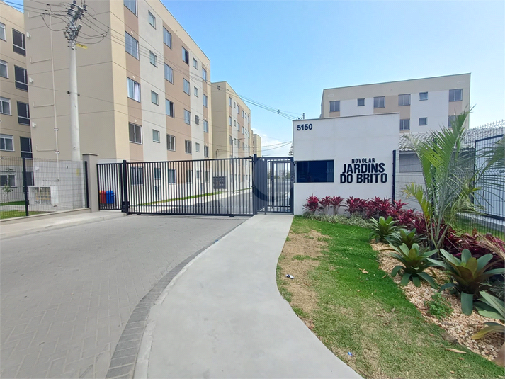 Foto REO1131400