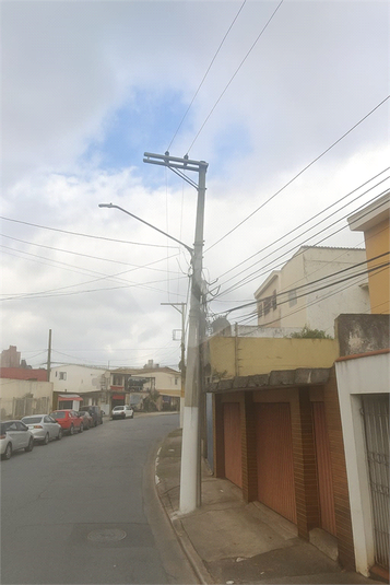 Foto REO1131408