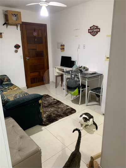 Foto REO1131431