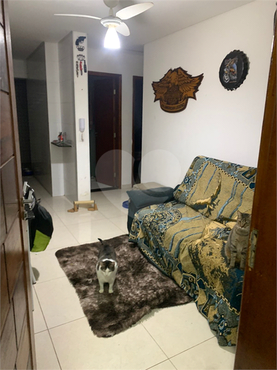 Foto REO1131431