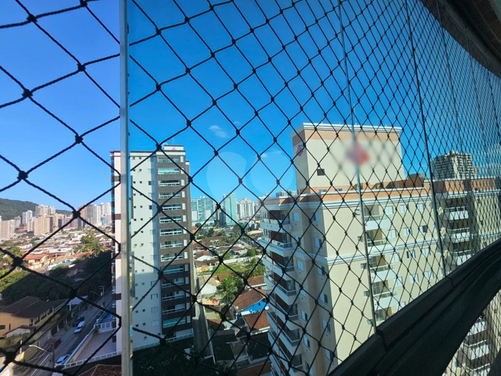 Foto REO1131432