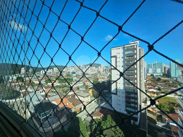 Foto REO1131432