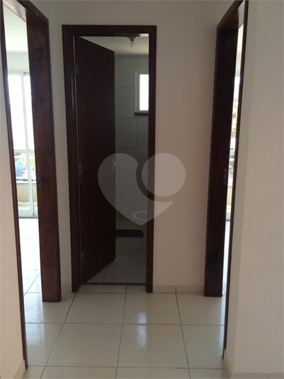 Foto REO1131439