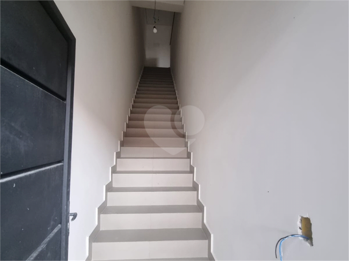 Foto REO1131449