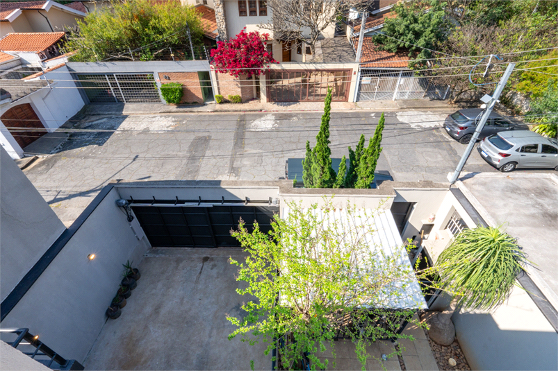 Foto REO1131454