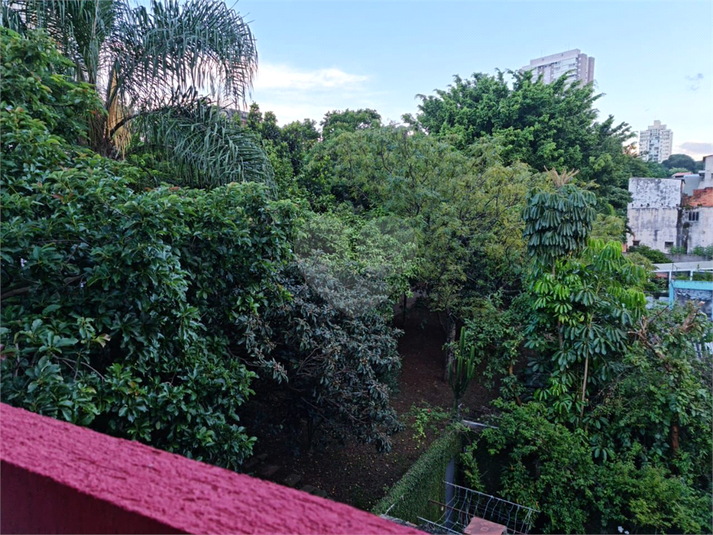 Foto REO1131462