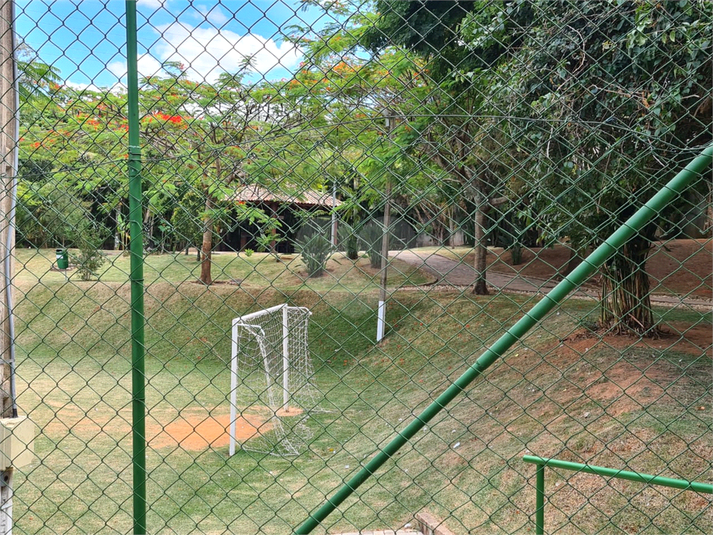 Foto REO1131466