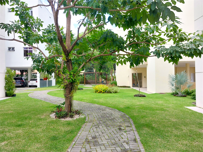 Foto REO1131468
