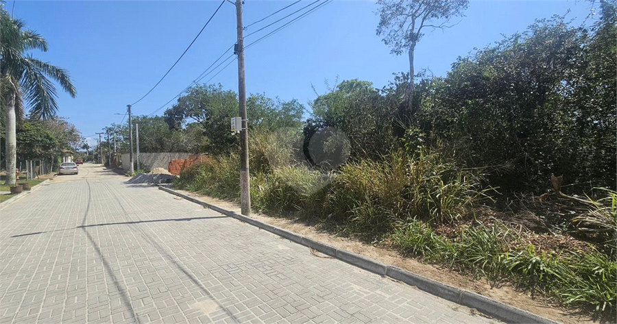Foto REO1131469