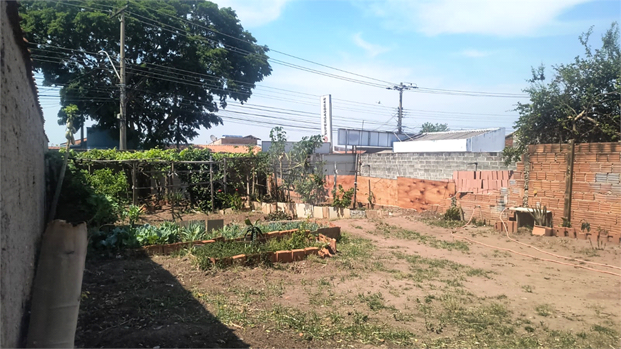 Foto REO1131475