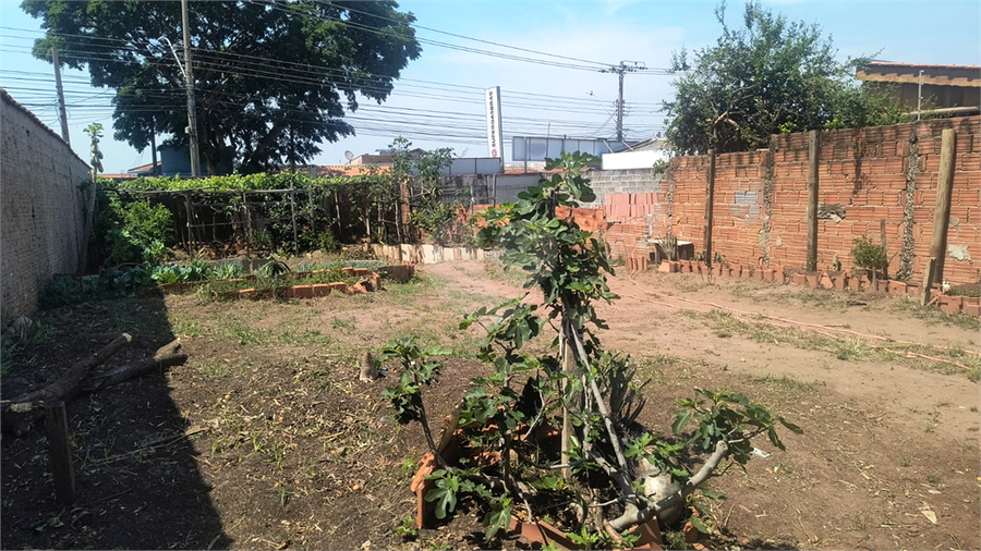 Foto REO1131475