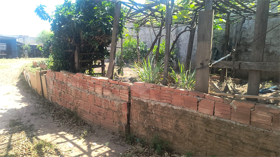Foto REO1131475