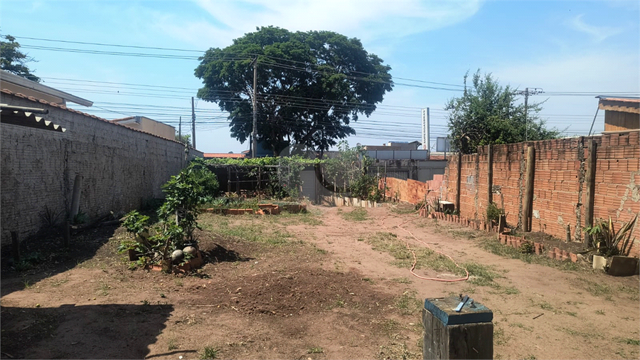 Foto REO1131475