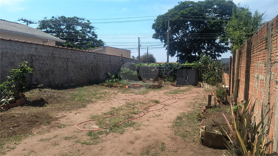 Foto REO1131475