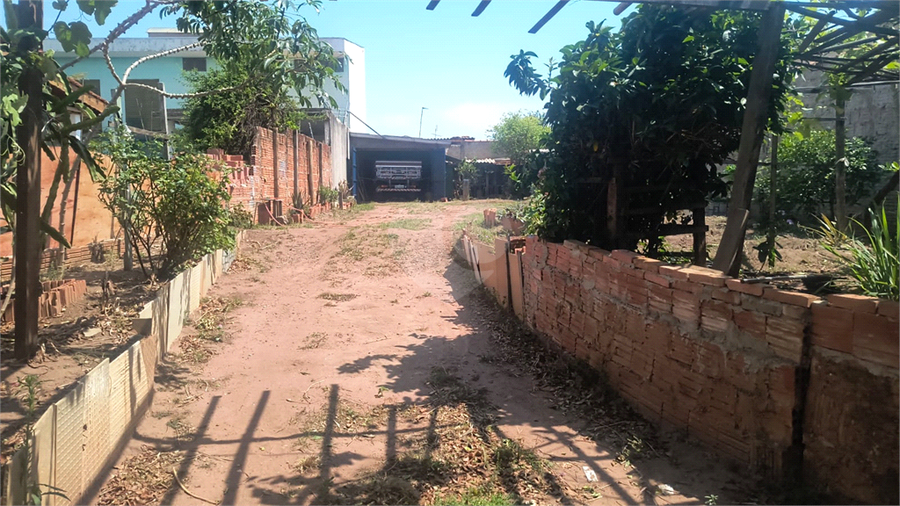 Foto REO1131475