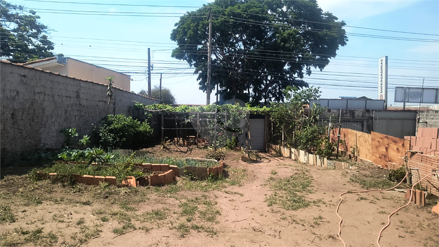 Foto REO1131475
