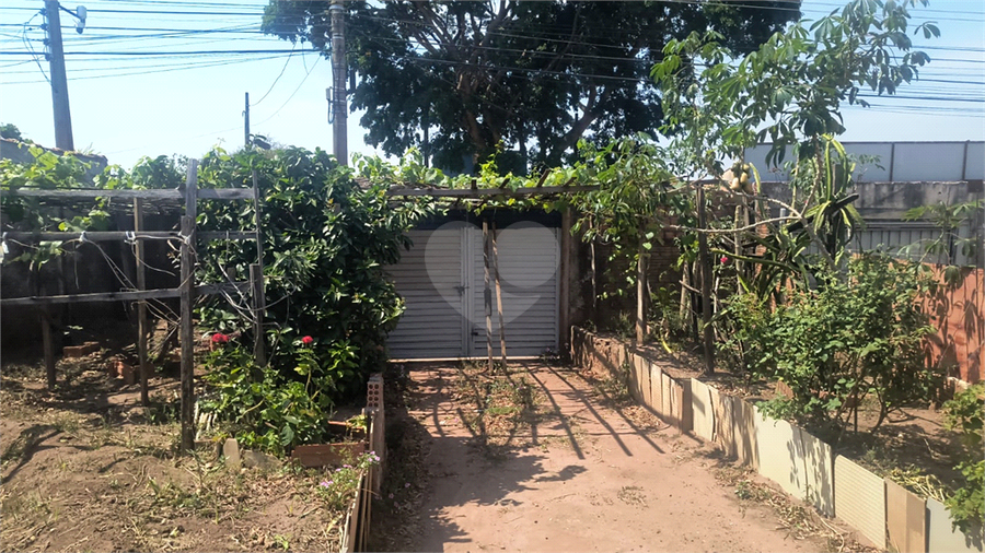 Foto REO1131475