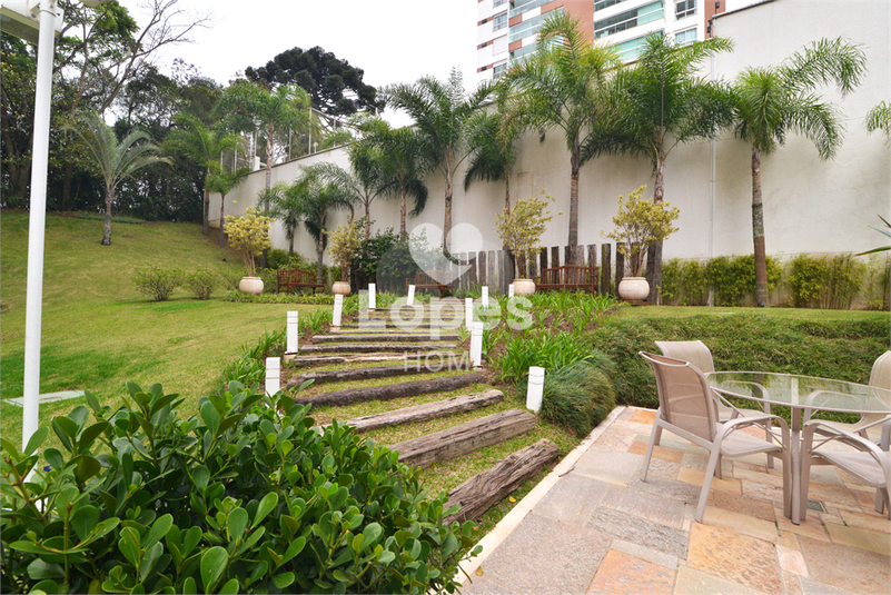 Foto REO1131476