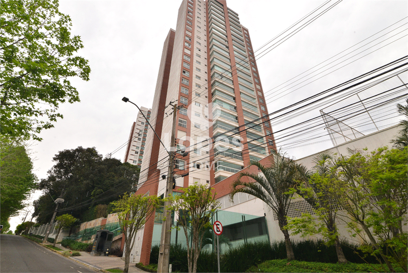 Foto REO1131476