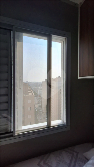 Foto REO1131489