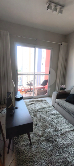 Foto REO1131491