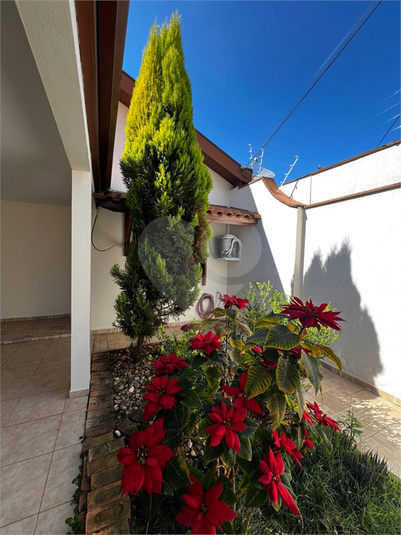 Foto REO1131503