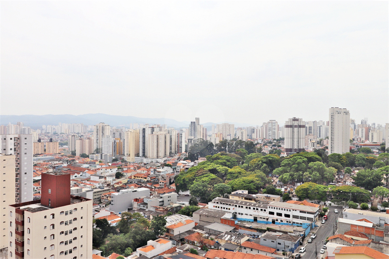 Foto REO1131505