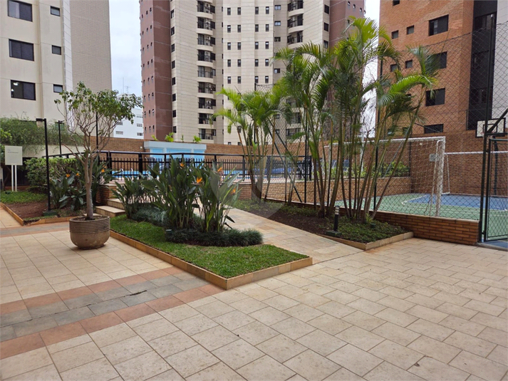 Foto REO1131532