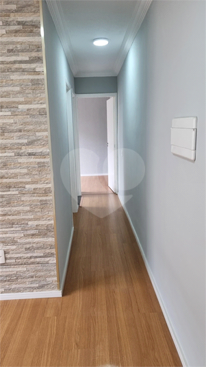 Foto REO1131533