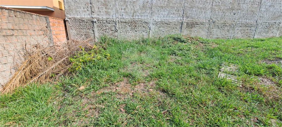 Foto REO1131536
